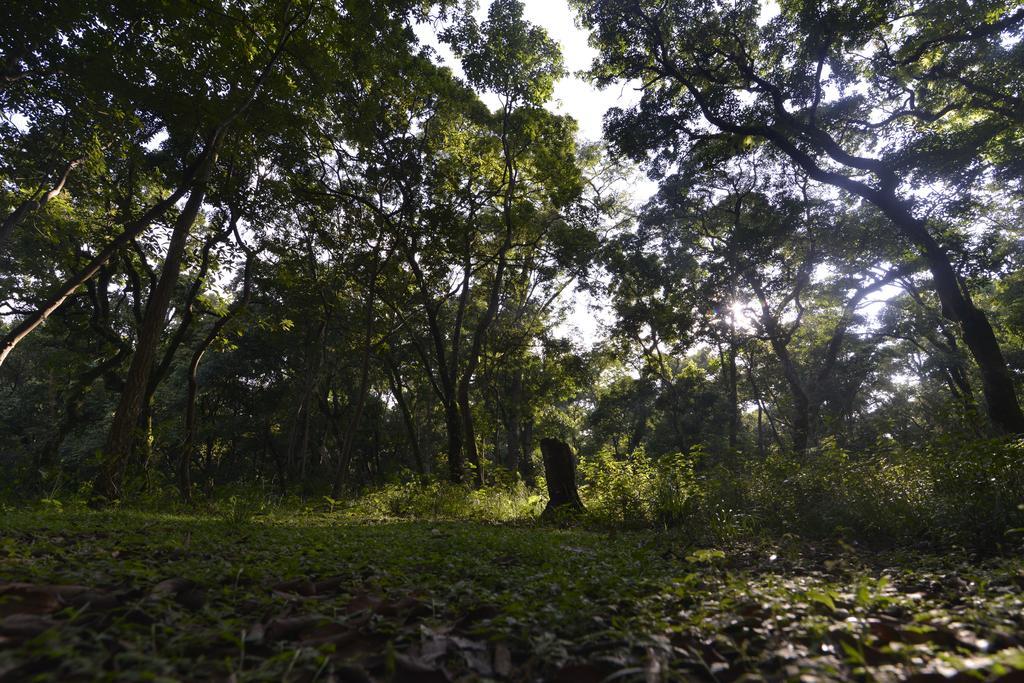 Gokarna Forest Resort Kathmandu Exterior photo